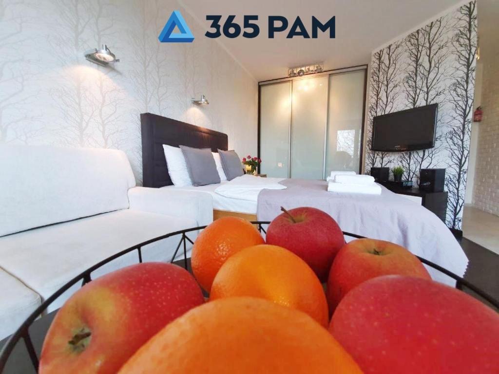 קולובז'ג Europa Apartament - 365Pam מראה חיצוני תמונה