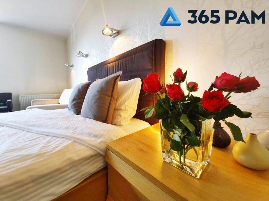 קולובז'ג Europa Apartament - 365Pam מראה חיצוני תמונה